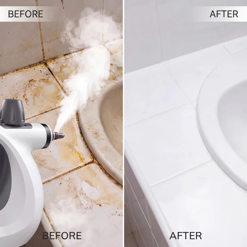 Steam Cleaner